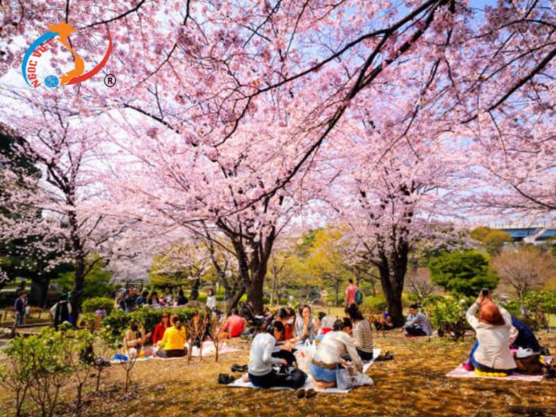 Công viên Sumida Công viên Sumida