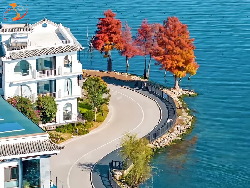 TRUONG GIA GIOI - PHUONG HOANG OLD TOWN