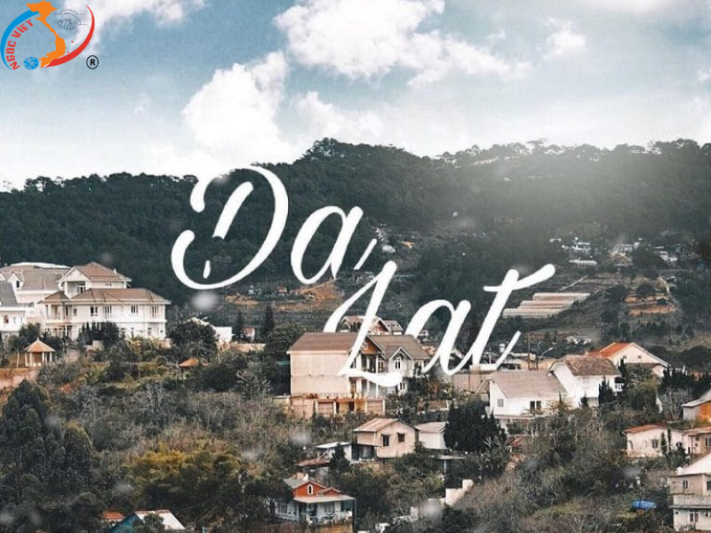 ĐÀ LẠT – TEA RESORT THÁC PRENN - NÔNG TRẠI CÚN – GOD VALLEY